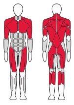 3-х Позиционная мультистанция Fitex FTX-7506