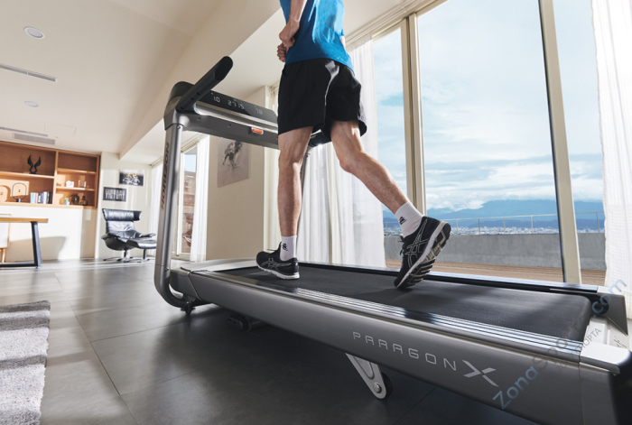 Беговая дорожка Horizon Paragon X
