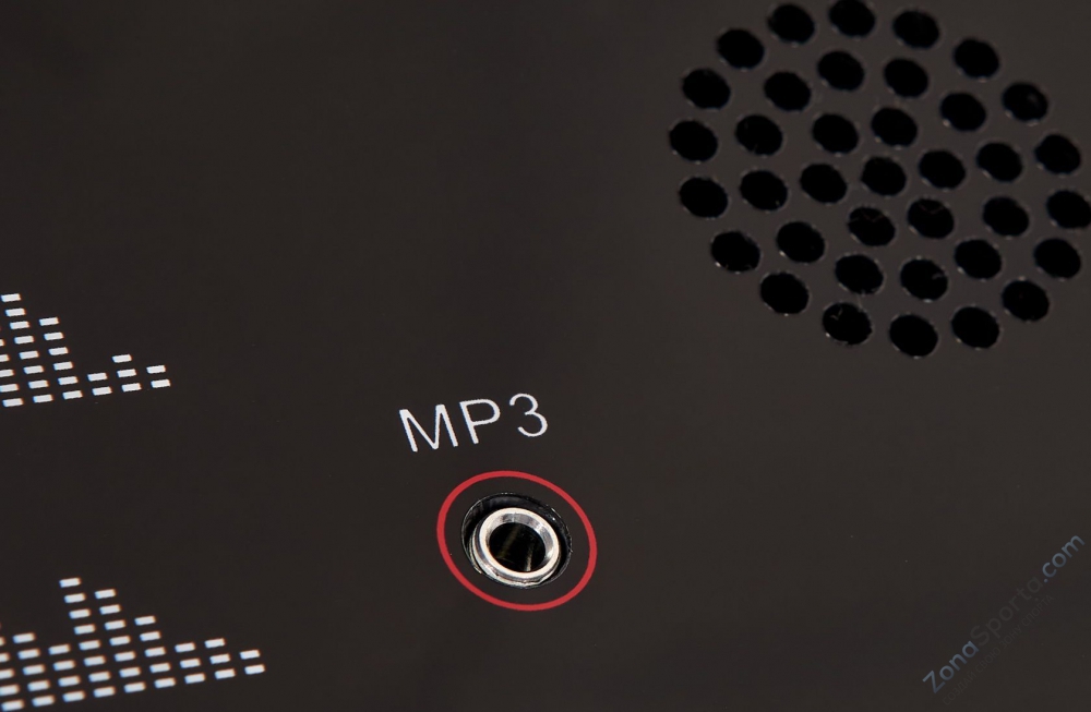 Беговая дорожка Titanium Masters Physiotech TDM