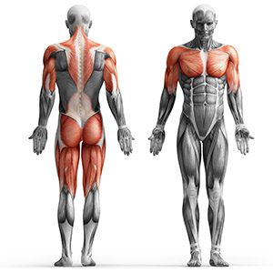 Гиперекстензия Marbo Sport MH-L116 2.0