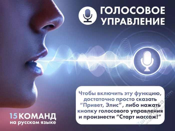 Массажное кресло Fujimo Flexor Brown