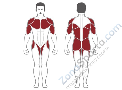 Мультикомплекс Steel Flex Hope HDC2000