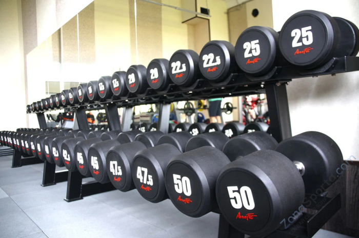 Набор обрезиненных гантелей AeroFIT AFDB2,5-25