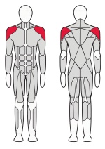 Тренажер Дельта машина Fitex FTX-6203 Тренажер Дельта машина Fitex FTX-6203