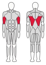 Тренажер Верхняя тяга Fitex FTX-6903