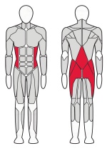 Обратная гиперэкстензия Fitex Pro FTX-FB101