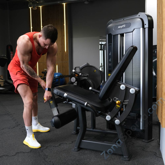 Разгибание ног AnyFit PE201-96 Разгибание ног AnyFit PE201-96