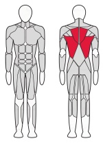 Рычажная тяга Fitex Pro FTX-7314