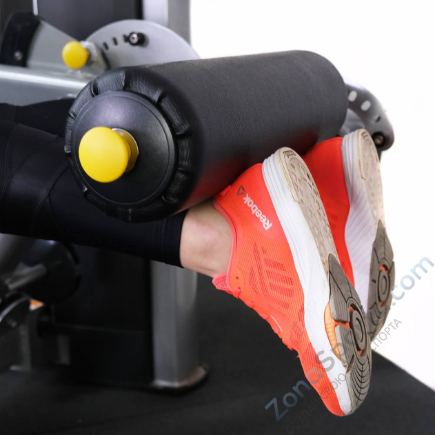 Сгибание ног лежа Protrain 61A26-80