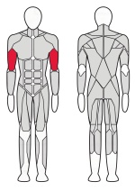 Скамейка Скотта Fitex Pro FTX-7337