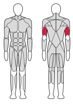 Трицепс машина (брусья) Fitex Pro FTX-7311