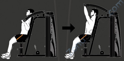 Жим от плеч Steel Flex Hope HSP800